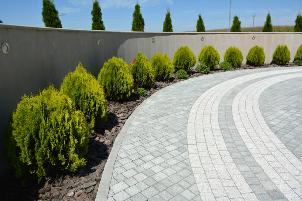 Reasons to Select Us for Your Driveway Paving Requirements in Lake Arrowhead, CA
